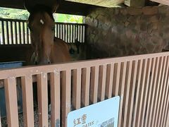 -珠海海泉湾神秘岛亲子乐园