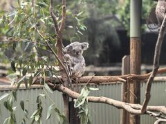 -费瑟代尔野生动物园