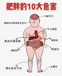 -香薇妮丝女子减肥院