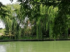 -同里国家湿地公园