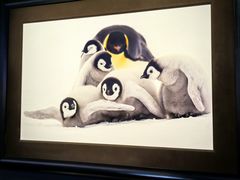 -罗红摄影艺术馆