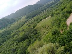 -塞罕坝国家级自然保护区