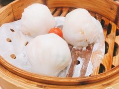 -点都德(华强南店)