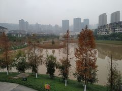 -沐仙湖湿地公园