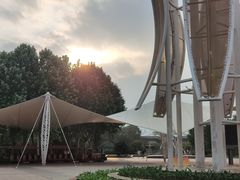 -石家庄市植物园