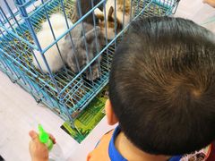 -东浩兰生上海世博展览馆