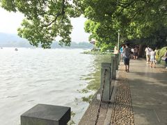 湖畔居茶楼-湖畔居茶楼(湖滨店)