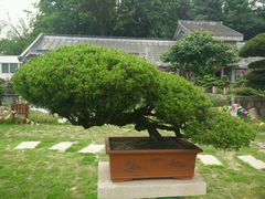 -水绘园