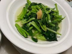 -東大方(安吉灵芝店)