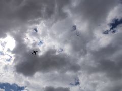 -春花秋色城市公园