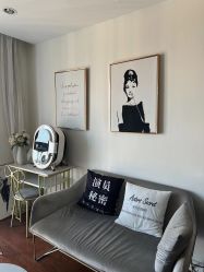 -演员的秘密·皮肤管理