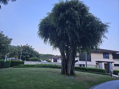 -石梅湾艾美度假酒店