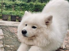 -郑州方特梦幻王国