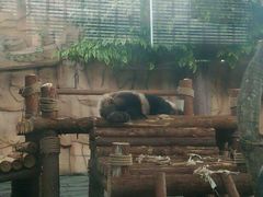 -泉州海丝野生动物世界