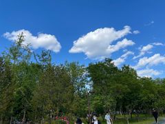 -回龙观体育文化公园