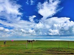 -青海湖国家重点风景名胜区
