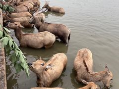 -宁波杭州湾国家湿地公园