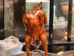-五稻厨房粤西菜(新闻店)