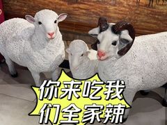 -快乐小羊·内蒙牛羊肉火锅(流花中心店)