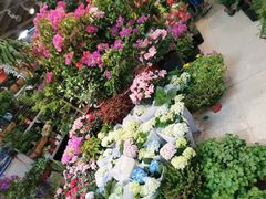 -双季花艺园艺市场(浦东店)