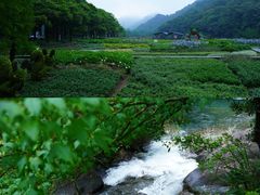 -广州市石门国家森林公园