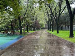 -唐城墙遗址公园