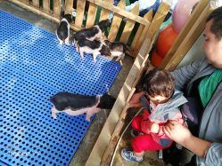 -萌宠亲子动物乐园(槐房万达店)