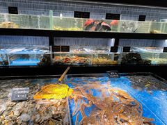 -徐记海鲜(南油永新汇店)