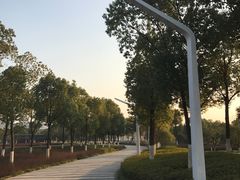 -紫霞湖公园