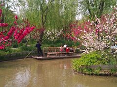 IMAG1033-南汇桃花村