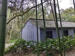 -兰亭风景区