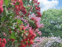 -杭州城北体育公园