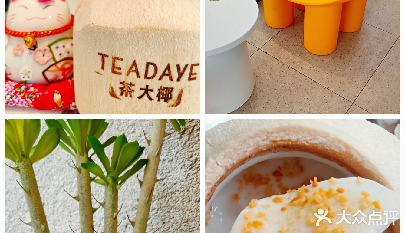 🥥看过来🤙重庆 | 椰子控🔥 
