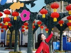-海合安成都极地海洋公园