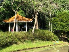 -火炉山森林公园