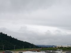 -五营红松林海景区