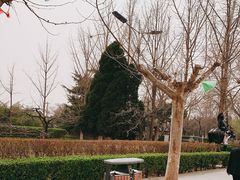 -赵州桥景区