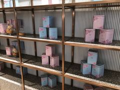面包甜点陈列柜-奈雪的茶(石家庄万象城店)