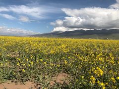 景点-青海湖国家重点风景名胜区