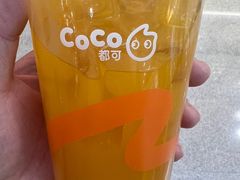 -CoCo都可(铁西万达店)