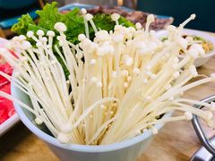 -青瓷火锅料理(西单大悦城店)