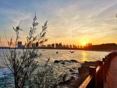 -马銮湾景区