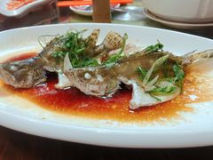 西江桂花-八仔大富楼·河鲜(西江店)