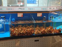 -鼎原力量东北吊炉烧烤(幸福街店)