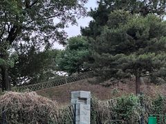 -北京西山国家森林公园