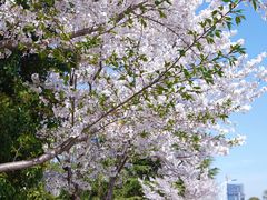 -江南大学(蠡湖校区)