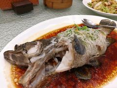 -頂好酒家·经典粤菜(海信广场店)