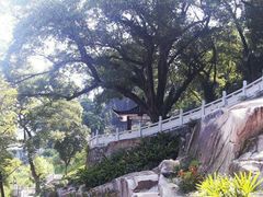 -乌山风景区