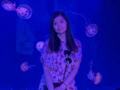 -暹罗海洋世界
