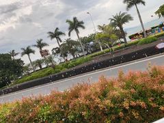 -黄金海岸环岛路